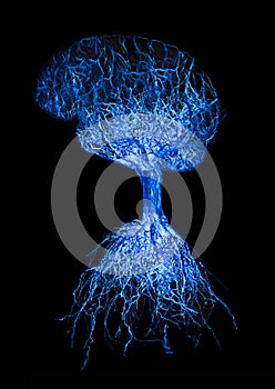 Concept human brain with blue glowing connection made from roots of tree on black background