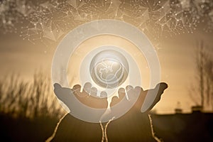 Concept of human embryo support