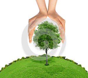Concept of human hand protecting green tree.
