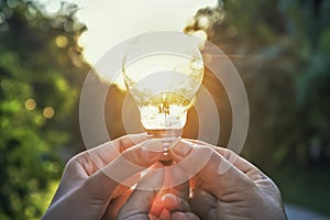 concept idea solar energy in nature three hand holding light bulb