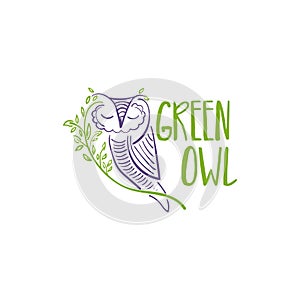 Concept illustration of owl with branch and leaf.