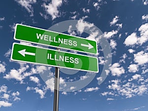 Wellness or illness photo