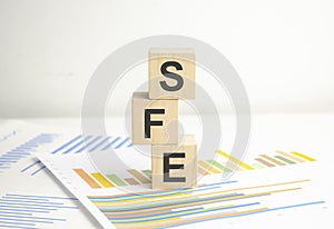 Concept image of Accounting Business Acronym SFE Sales Force Effectiveness written on wooden block