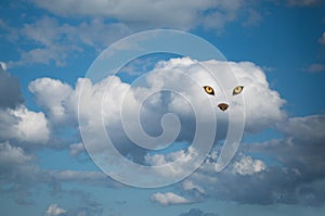 concept image of an animal on blue sky cloud