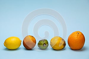 Fresh and spoiled citrus fruits on a light blue background photo