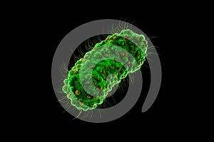 Concept infectious agents, bacteria, bacilli, E. coli, part of the gut microbiome. Magnified image from under the microscope. 3D