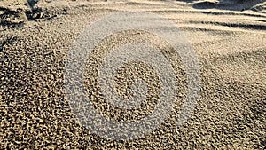 Concept of instability or transformation, symbol of passing of time, sand pours down from above and lies on smooth sandy