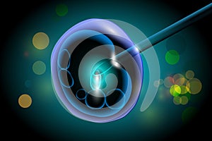 Concept of IVF in vitro fertilization photo