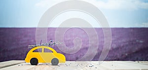 Concept journey through the lavender fields, car with a bouquet of lavender rides on the background of a lavender