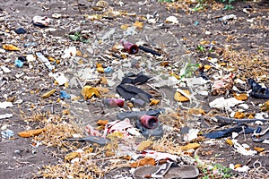 Concept of junk on the beach. Plastic bottles, Garbage and other trash on the beach. environmental pollution concept.