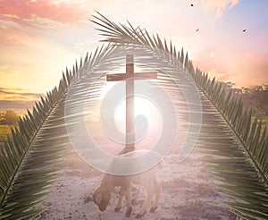 Concept of the Lamb of God: The Lamb in front of the Cross of God