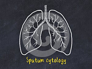 Concept of learning lung diseases. Chalk drawing of lungs with inscription