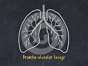 Concept of learning lung diseases. Chalk drawing of lungs with inscription