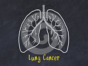 Concept of learning lung diseases. Chalk drawing of lungs with inscription