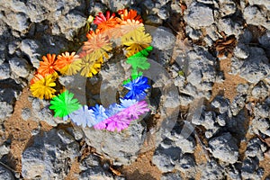 Concept of LGBT . rainbow colored Heart of flowers on a sandstone rock background. photo