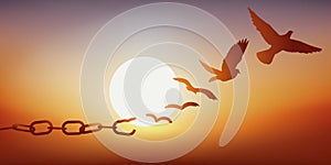 Concept of liberation with a dove escaping by breaking its chains, symbol of prison.