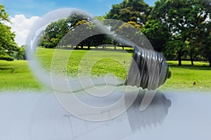 Concept , light bulb with a green grass and tree