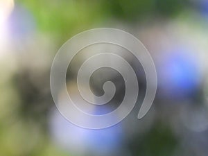 The concept of light effects in the form of blur creates a mesmerizing visual experience, emphasizing movement and ethereality.