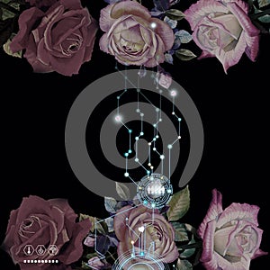 Concept line light network technology communicate above the roses