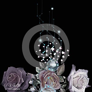 Concept line light network technology communicate above the roses in the night