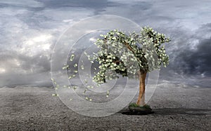 Concept of loss your money. Hand picks the money tree is taken f