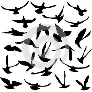 Concept of love or peace. Set of silhouettes of doves