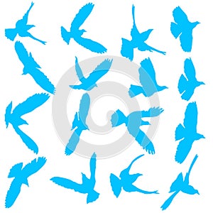 Concept of love or peace. Set silhouettes doves