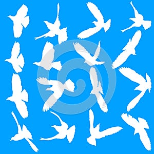 Concept of love or peace. Set silhouettes doves