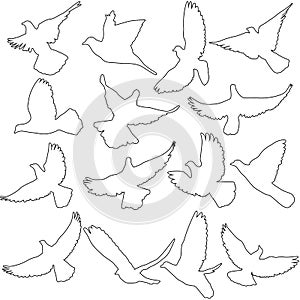 Concept of love or peace. Set of silhouettes of doves. Vector illustration