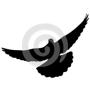 Concept of love or peace silhouettes doves