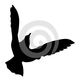 Concept of love or peace. Silhouettes doves