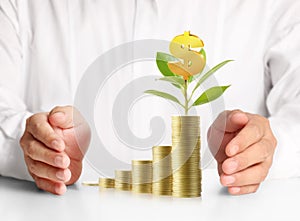 Concept of money growing from coins