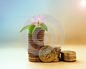 The concept of money growth, the success and prosperity