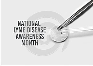 Concept for National Lyme Disease Awareness Month. Abstract medical laboratory. Research of ixodid ticks, which are