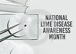 Concept for National Lyme Disease Awareness Month. Abstract medical laboratory. Research of ixodid ticks, which are