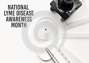 Concept for National Lyme Disease Awareness Month. Abstract medical laboratory. Research of ixodid ticks, which are