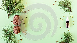 concept of natural cosmetics, pine cones with nuts and a bottle of oil on a green background