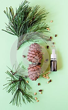 concept of natural cosmetics, pine cones with nuts and a bottle of oil on a green background