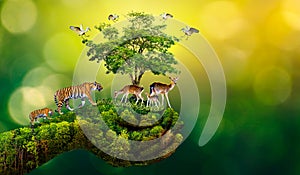 Concept Nature reserve conserve Wildlife reserve tiger Deer Global warming Food Loaf Ecology Human hands protecting the wild and w