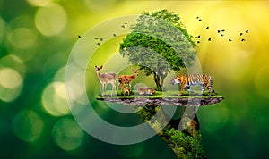 Concept Nature reserve conserve Wildlife reserve tiger Deer Global warming Food Loaf Ecology Human hands protecting the wild and w