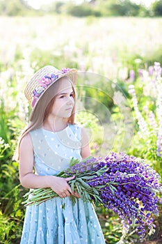 The concept of nature and romance. Closeup portrait of a little girl in a straw hat in a field of lupins. Girl holding a bouquet o