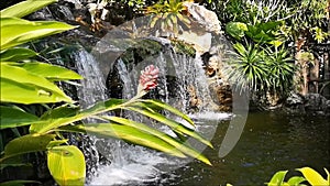 The concept, the nature was created by human hand. The small waterfall, surrounded by small trees and bushes, was built into small