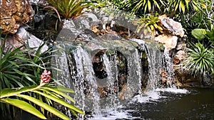 The concept, the nature was created by human hand. The small waterfall, surrounded by small trees and bushes, was built into small