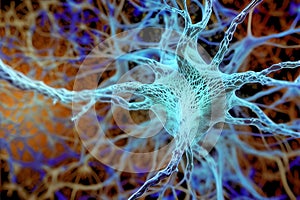 Concept of neurons and nervous system
