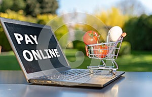 Concept of online grocery shopping. A miniature shopping cart with eggs and tomatoes is standing an a Notebook