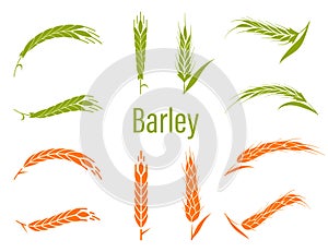 Concept for organic products label, harvest and farming, grain, bakery, healthy food.