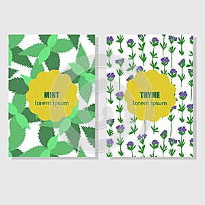 Concept for packing design with aromatic herbs and