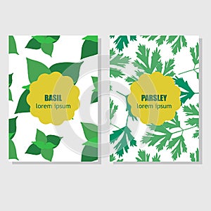 Concept for packing design with aromatic herbs and