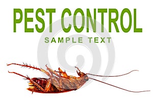 Concept of pest control