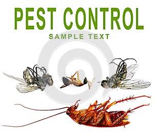 Concept of pest control